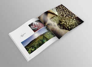 品味巔峰，源自純粹——帝芬諾高端精品咖啡產(chǎn)品宣傳畫冊